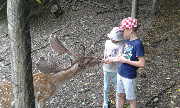 20150728_132315