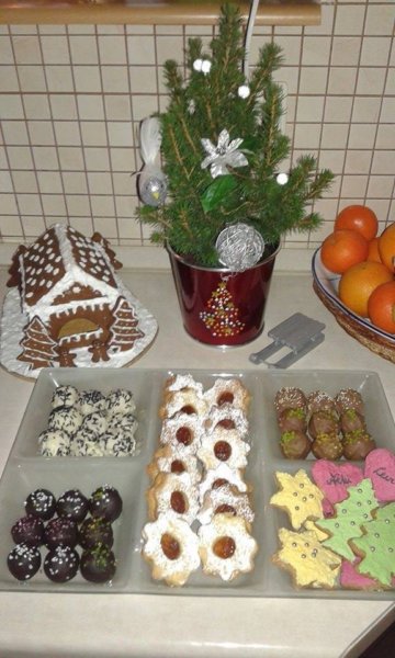 15750088_1387491121285356_192948319_n