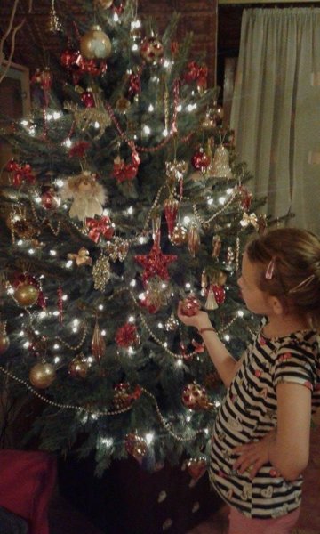 15782499_1387491074618694_1309460657_n